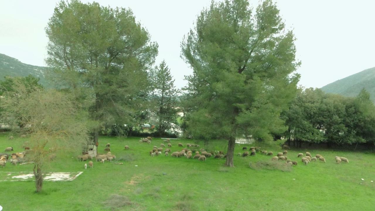 Gite Saint CLAIR - Escapade à Signes Esterno foto